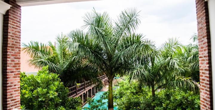Mango Hill Puducherry Eksteriør billede